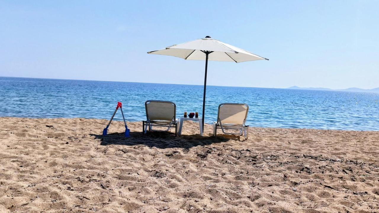 Xd Al Mare Villa Ierissos Dış mekan fotoğraf